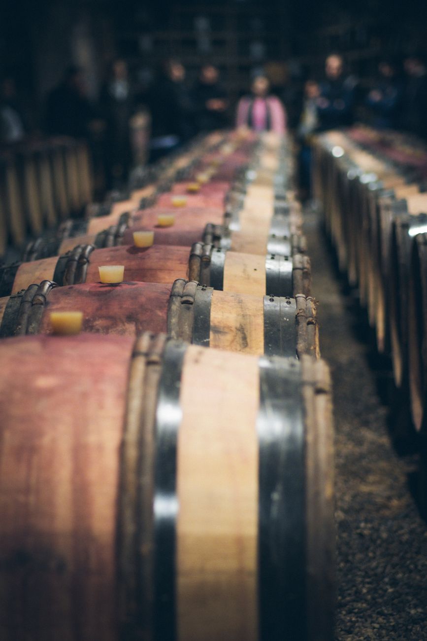 Close-up of wooden wine barrels lined up in a cellar, perfect for aging wine.